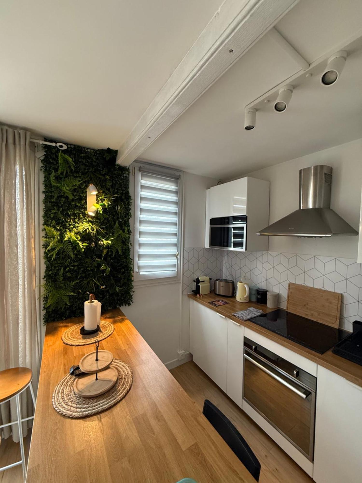 Superbe Duplex Avec Parking Gratuit Apartment Grenoble Exterior photo